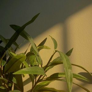 Meet your Posher, Kj